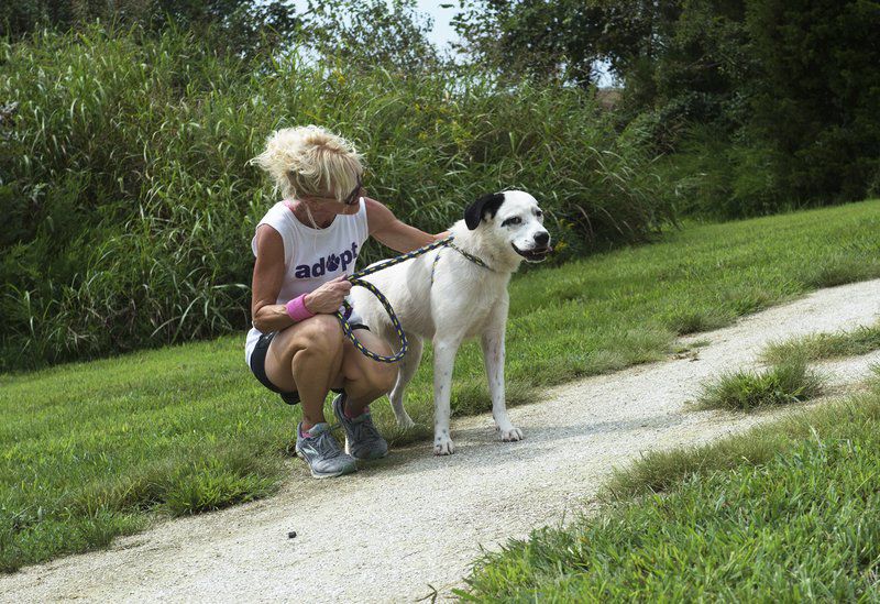 Humane Society using local gift to improve play areas, trail for dogs